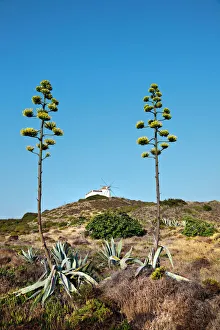 Carrapateira Prints: Windmill, Carrapateira, Costa Vicentina, Algarve, Portugal