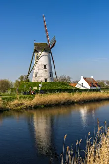Windmill along Damme canal, Damme, West Flanders, Belgium