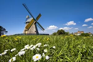 Windmill, Nebel, Amrum Island, Northern Frisia, Schleswig-Holstein, Germany