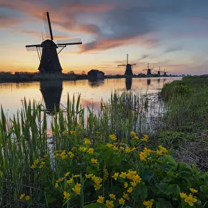 Canal Prints: Windmills of Kinderdijk at Sunrise, Holland, Netherlands