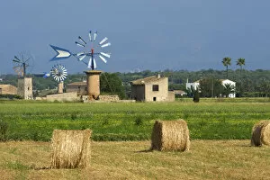 Images Dated 8th February 2012: Windmills near Sant Jordi, Majorca, Balearic Islands, Spain