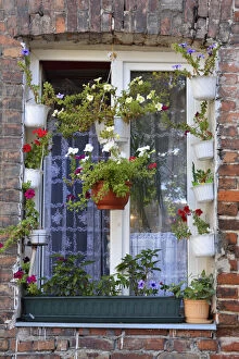 A window with flowers among the remaining buildings of the fierce fighting between