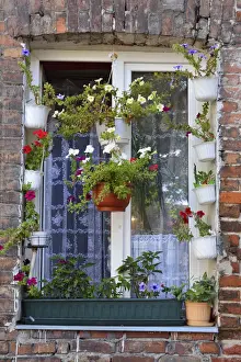 A window with flowers among the remaining buildings of the fierce fighting between