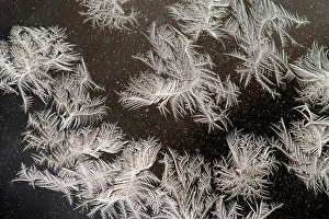 Delicate Prints: Window frost on a cold winter morning, Greater Sudbury, Ontario, Canada