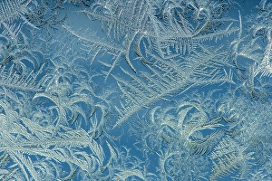 Delicate Prints: Window frost, Greater Sudbury, Ontario, Canada, Greater Sudbury, Ontario, Canada