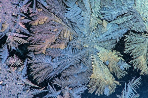 Delicate Prints: Window frost, Greater Sudbury, Ontario, Canada