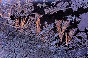 Window Frost Prints: WIndow frost pattern at sunset, Winnipeg, Manitoba, Canada