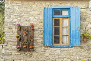 Chris Mouyiaris Gallery: Window and plant display, Kato Drys, Cyprus