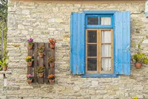 Display Gallery: Window and plant display, Kato Drys, Cyprus