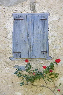 Pyrenees Prints: Window Shutters & Roses, Roquefixade, Ariege, Midi-Pyrenees, France