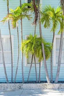 Window Prints: Windows, Key West, Florida Keys, Florida, USA