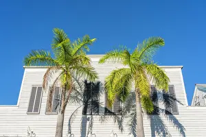 Duval Street Prints: Windows, Key West, Florida Keys, Florida, USA