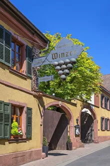 Images Dated 13th August 2020: Wine bar at Maikammer, Palatinate wine road, Rhineland-Palatinate, Germany