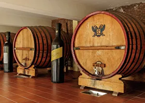 Wine Barrels, Bodegas Lopez, Maipu, Mendoza Province, Argentina