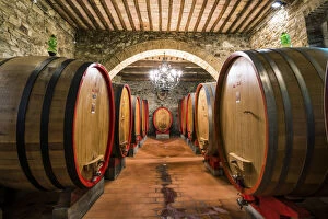 Aging Gallery: Wine Barrels at the Costanti Winery, Montalcino, Tuscany, Italy