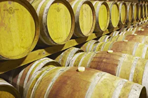 Wine cellar in Salitage winery, Pemberton, Western Australia, Australia