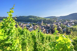 Wine village Dhron, Neumagen-Dhron, Mosel, Rhineland-Palatinate, Germany