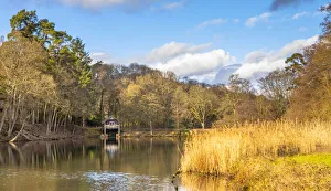 Surrey Prints: Winkworth Arboretum, Godalming, Surrey, England, United Kingdom