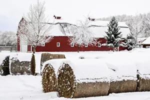 Carvings Prints: Winter agricultural landscape- hay bales and farm