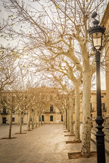 Village Square Prints: Winter atmosphere on the main square in front of the church of Binissalem