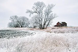 WInter farm scenic with barn. Altona, Manitoba, Canada