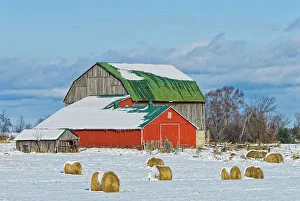 Barns Prints: Winter farm scenic with hay bails inthe field, Cookstown, Ontario, Canada