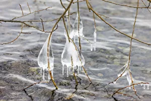 Icicle Collection: Winter on Lake Starnberg near Bernried, Upper Bavaria, Bavaria, Germany