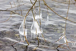 Oberbayern Prints: Winter on Lake Starnberg near Bernried, Upper Bavaria, Bavaria, Germany