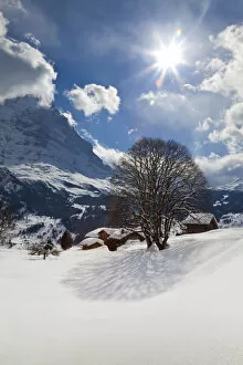 Images Dated 8th September 2009: Winter landscape, Grindelwald, Jungfrau region, Bernese Oberland, Swiss Alps, Switzerland