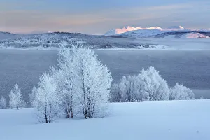 Lapland Prints: Winter landscape near Lysnes on Senja - Norway, Troms, Senja, Lysnes