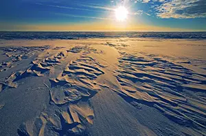 Saskatchewan Prints: Winter landscape st sunrise near Willows Saskatchewan, Canada