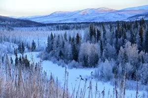 Alaska Gallery: Winter landscape along the Steese Highway, Fairbanks, Alaska, USA