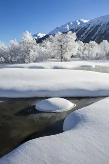 Winter landscape with trees covered in hoarfrost and frozen river. Celerina, Engadin