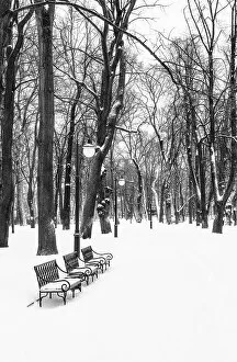 St Petersburg Collection: Winter in Mikhailovsky Garden (Mikhailovsky Sad), Saint Petersburg, Russia