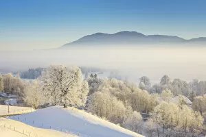 Images Dated 10th March 2021: Winter morning at Kochelmoos, Upper Bavaria, Alps, Isarwinkel, Upper Bavaria, Bavaria