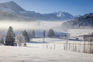 Oberbayern Prints: Winter morning mist near Berchtesgaden, Upper Bavaria, Bavaria, Germany