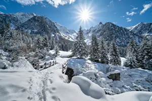 Snow Capped Prints: Winter mountain landscape with snowcapped trees and sunlight in backlight