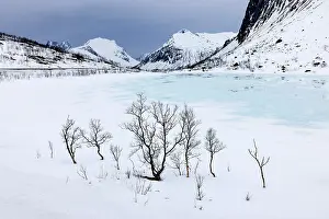 Bergsbotn Prints: Winter scene of snow covered mountains