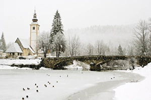 Former Yugoslavia Prints: Winter scene in village in Slovenia