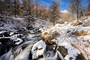 Camonica Valley Prints: Winter season in Stelvio national park in Camonica valley, Lombardy district, Brescia