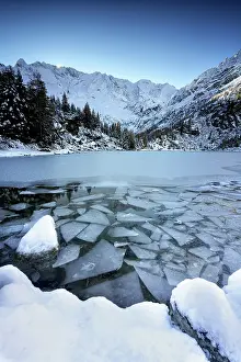 Natural Pattern Prints: Winter sunrise over Aviolo lake in Vezza d'Oglio