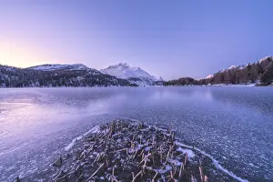 Sils Prints: Winter sunrise over the snow capped Piz Da La Margna and frozen Lake Sils, Graubunden