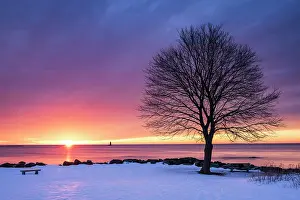 New Castle Prints: Winter sunrise with tree profile, Great Island Common, New Castle, New Hampshire, USA