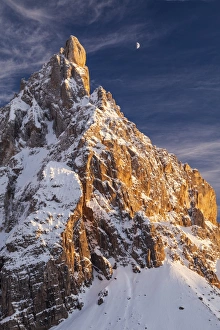 Images Dated 2010 November: 