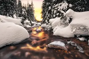 Scene Prints: Winter sunset in the Venagia Valley, Panaveggio Natural Park Dolomites Trentino Alto