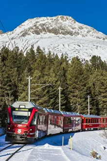 Images Dated 21st April 2017: Winter view of the famous Bernina Express red train near Pontresina, Graubunden