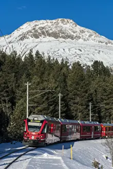 Mountain Train Prints: Winter view of the famous Bernina Express red train near Pontresina, Graubunden