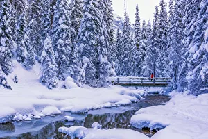 Single Person Prints: Winter Wonderland, Yoho National Park, British Columbia, Canada