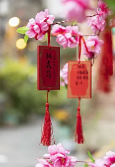 Wishing cards and spring blossom in alleyways of Tianzifang, Shanghai, China Wishing cards and spring blossom in alleyways of Tianzifang, Shanghai, China