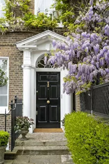 Images Dated 3rd May 2022: Wisteria and door, Chelsea, London, England, UK
